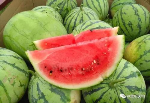 小叮当的一家黑料吃瓜